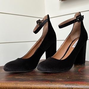 Steve Madden Velvet Vivii